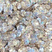 Flitre holographic silver 319